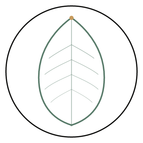 Stille Wellness